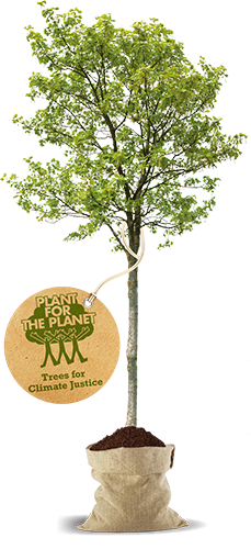 Baum - Plant for the Planet