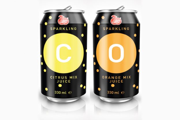 Verpackungsdesign Getränkedose Del Valley